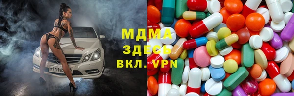 ГАЛЛЮЦИНОГЕННЫЕ ГРИБЫ Гусев