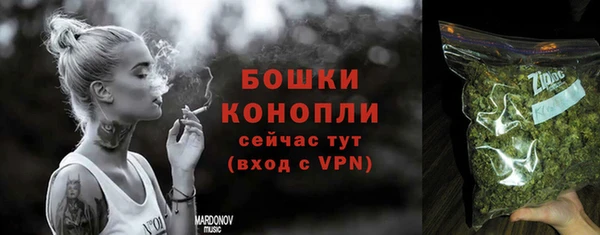 ГАЛЛЮЦИНОГЕННЫЕ ГРИБЫ Гусев