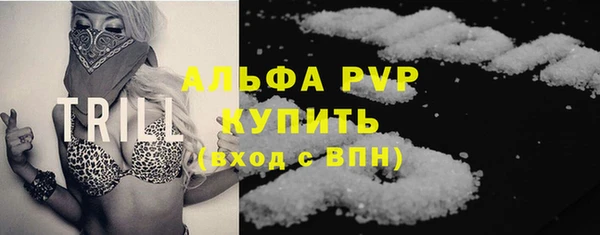 ГАЛЛЮЦИНОГЕННЫЕ ГРИБЫ Гусев