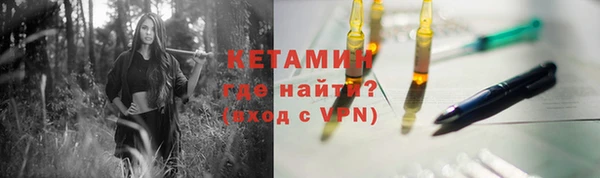 ГАЛЛЮЦИНОГЕННЫЕ ГРИБЫ Гусев