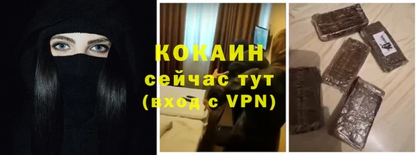 ГАЛЛЮЦИНОГЕННЫЕ ГРИБЫ Гусев